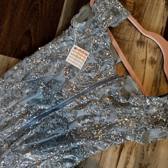 Elegant Powder Blue and Silver Sequin Gown - Picture 5 of 17